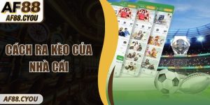 Cách Ra Kèo Của Nhà Cái – Hiểu Cơ Chế Thiết Lập Tỷ Lệ Cược