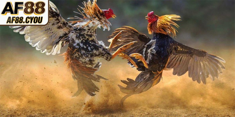 Kinh nghiệm chơi hiệu quả thắng lớn