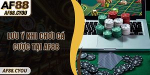 Lưu Ý Khi Chơi Cá Cược Tại AF88 Người Chơi Mới Cần Biết 