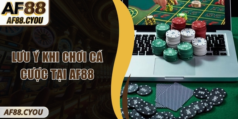 Lưu Ý Khi Chơi Cá Cược Tại AF88 Người Chơi Mới Cần Biết