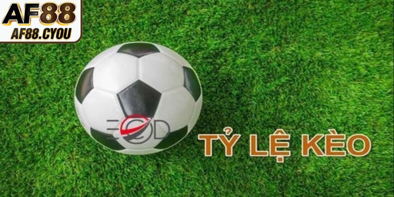 Xây dựng tỷ lệ ban đầu tạo sự cân bằng giữa hai đội